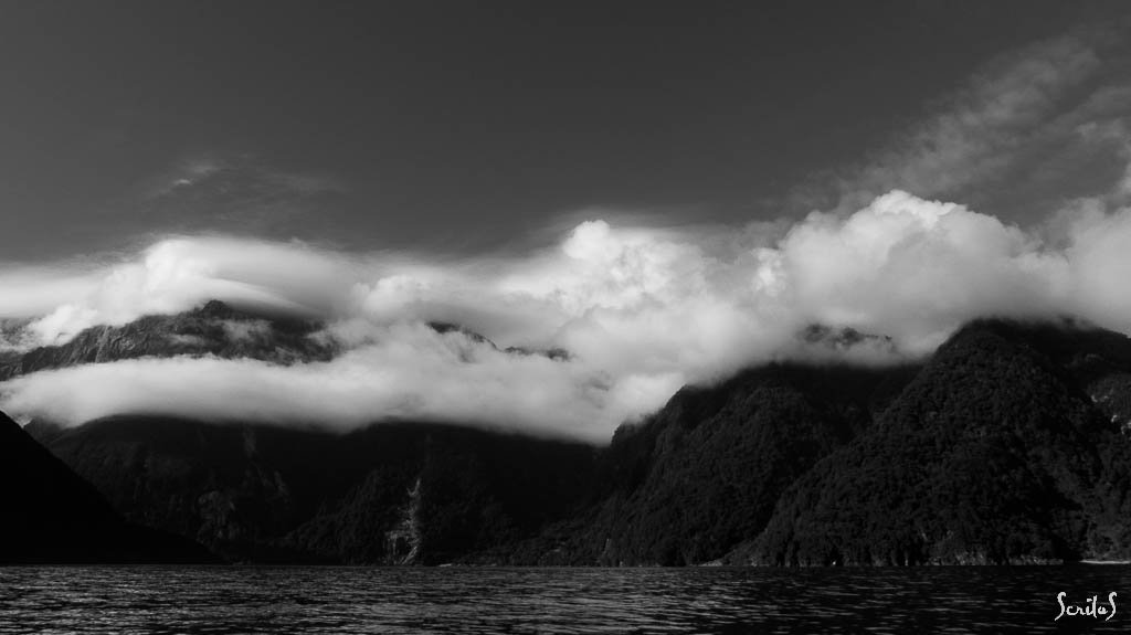 Milford Sound. Falaises, nuages et végétation dense.