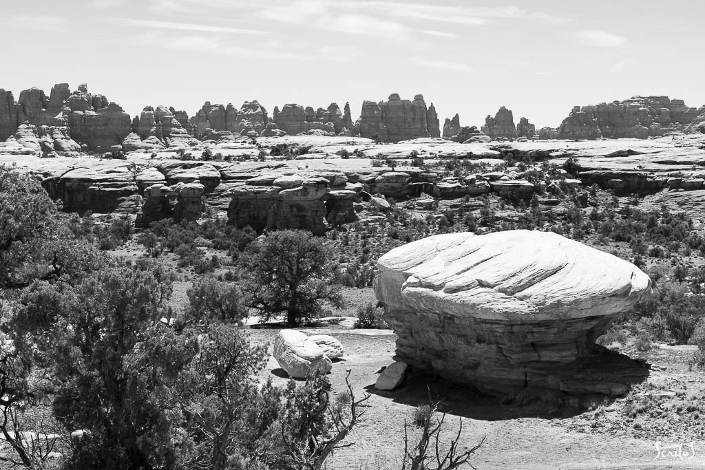 Rocher isolé face aux aiguilles de Needles - Canyonlands National Park - Utah