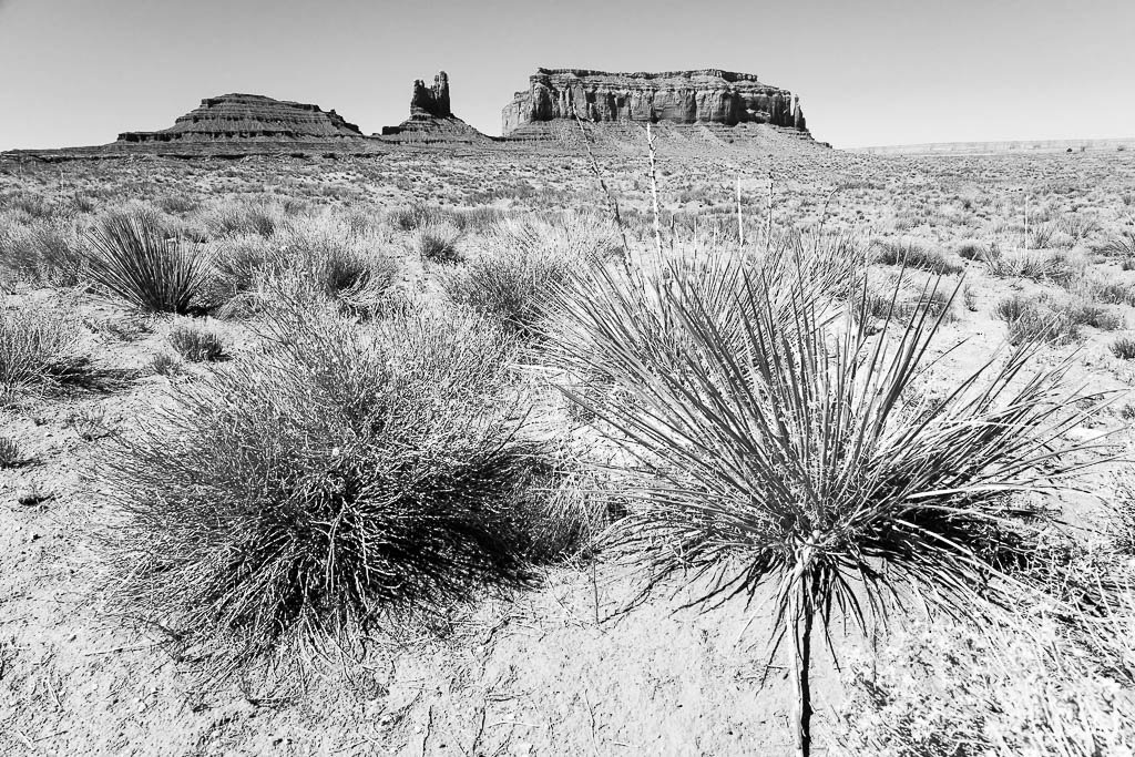 Buissons, butte et mesas.