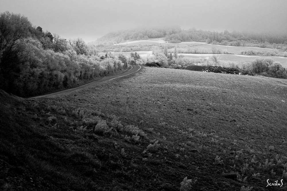 Un chemin longe le pré sous un ciel plombé. Beauté du lugubre.