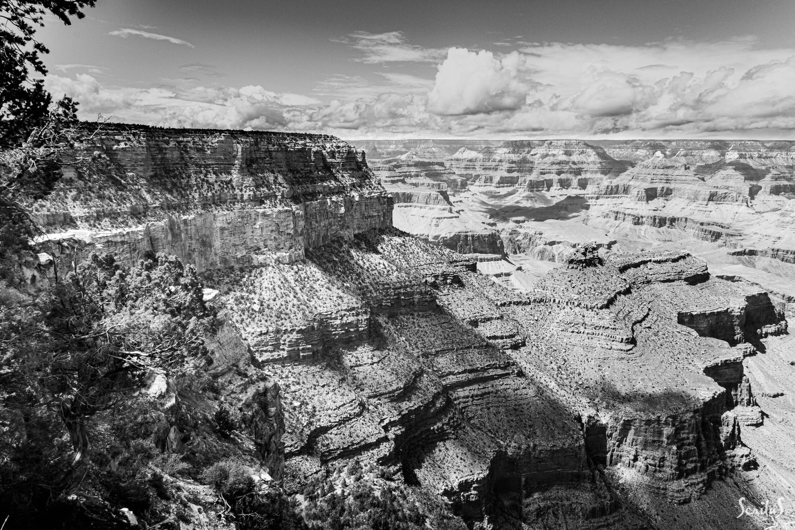 GC_30_IMG_0449