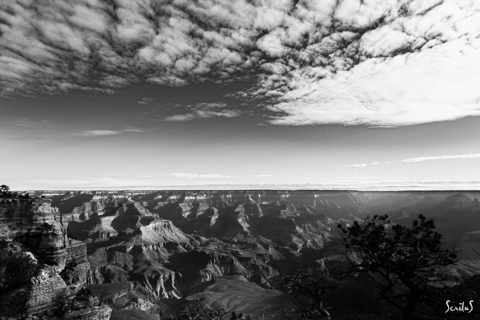 GC_60_IMG_0492