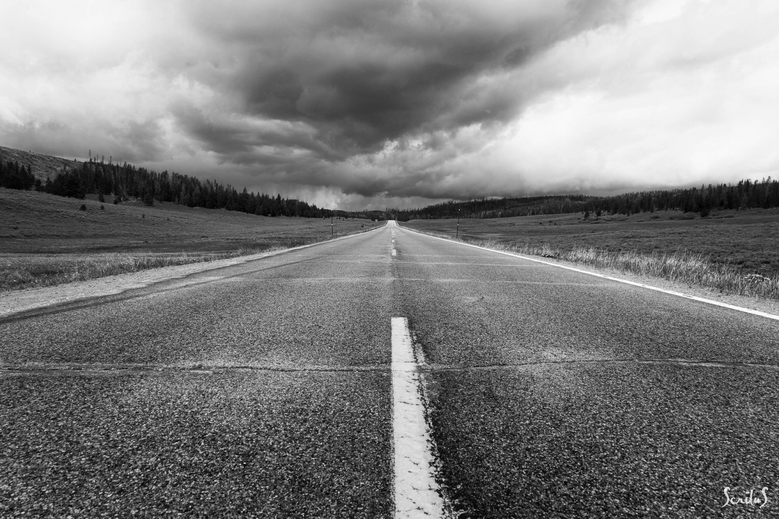 ROADS_080_IMG_2119