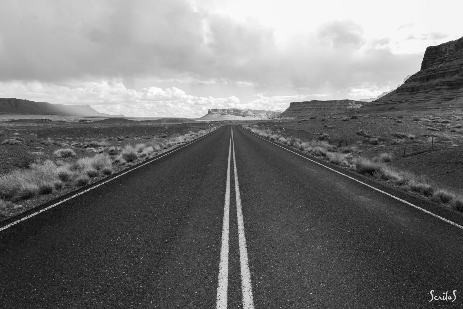 ROADS_120_IMG_1120