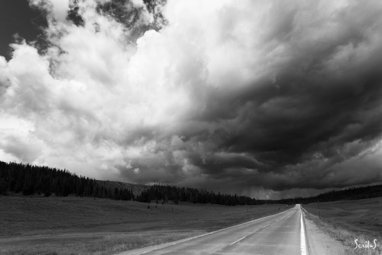 ROADS_140_IMG_2121