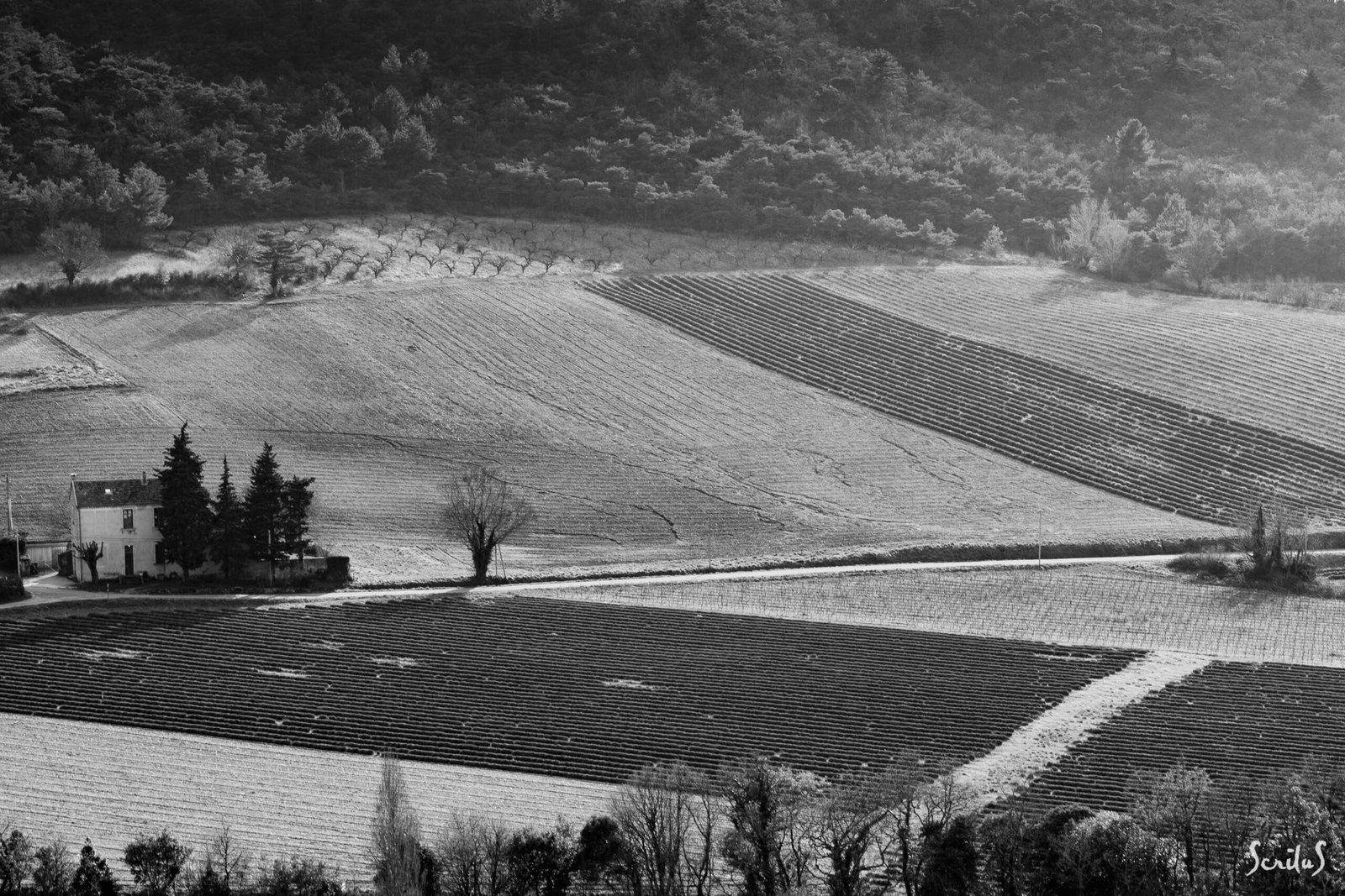 Patchwork de champs décrivant des motifs géomètrique
